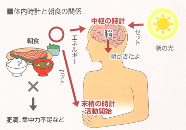 第一ビル管理株式会社　健康経営ワンポイントアドバイス