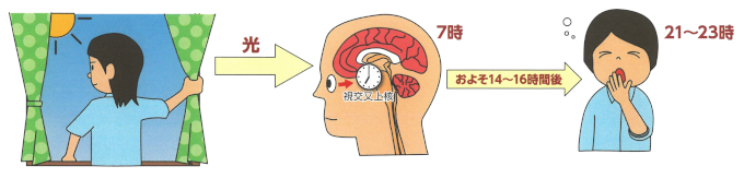 第一ビル管理株式会社　健康経営ワンポイントアドバイス