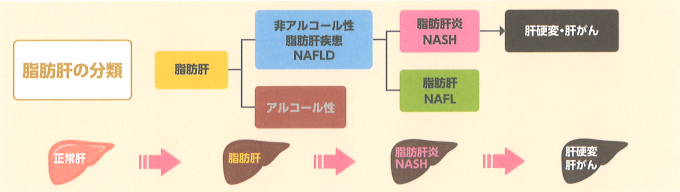 第一ビル管理株式会社　健康経営ワンポイントアドバイス